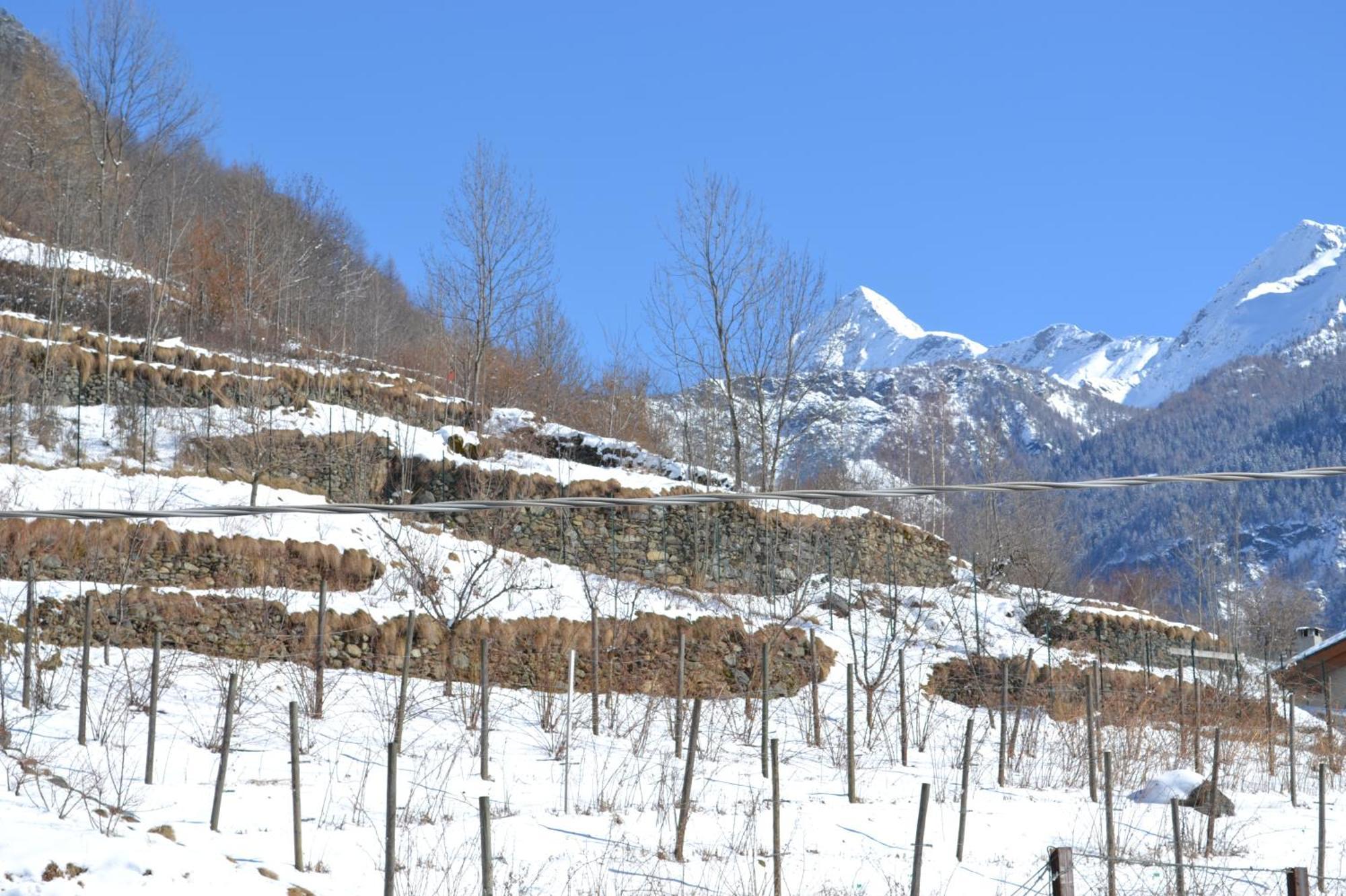 Casa Vacanza La Rocca Chiesa in Valmalenco Zewnętrze zdjęcie
